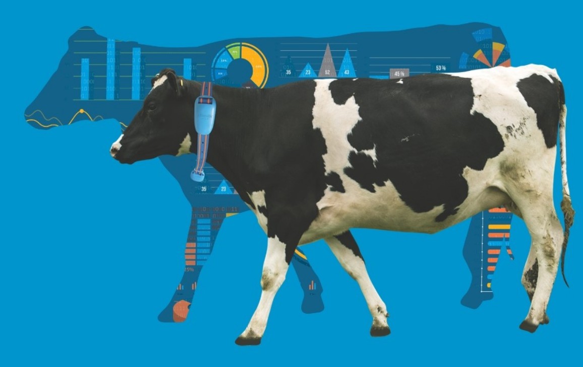 afimilk case study hero